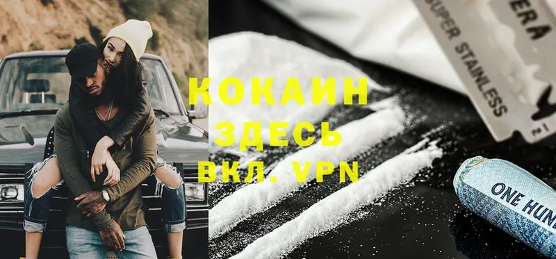 MEGA ссылка  как найти закладки  Беломорск  Cocaine Fish Scale 