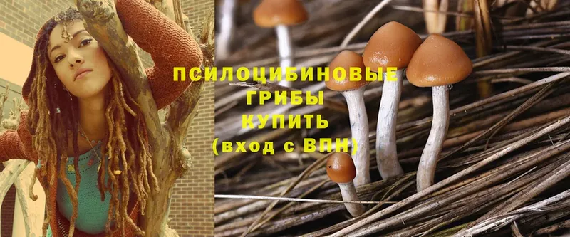 kraken онион  Беломорск  Галлюциногенные грибы MAGIC MUSHROOMS 